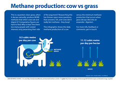 Methane production of cows vs grass