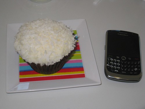 Chocolate coconut cupcake