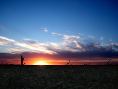 Sunset across a havested soybean field