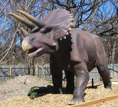 854073_com_triceratop