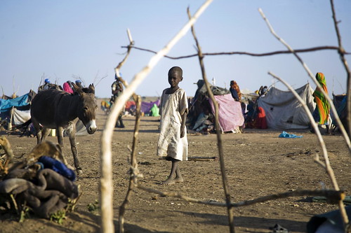 Displaced Sudanese Face Harsh Conditions