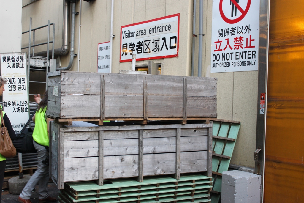 Tsukiji- Tuna Auction Observation Trip