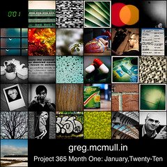 Project 365: January Mosaic