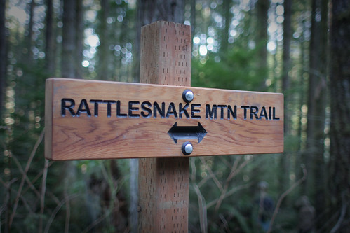 Rattlesnake Mountain Trail