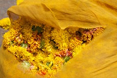 Bag of garland flowers