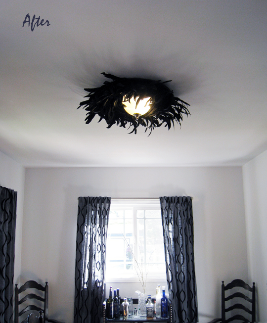 feather dining room ceiling fixture light lamp - after