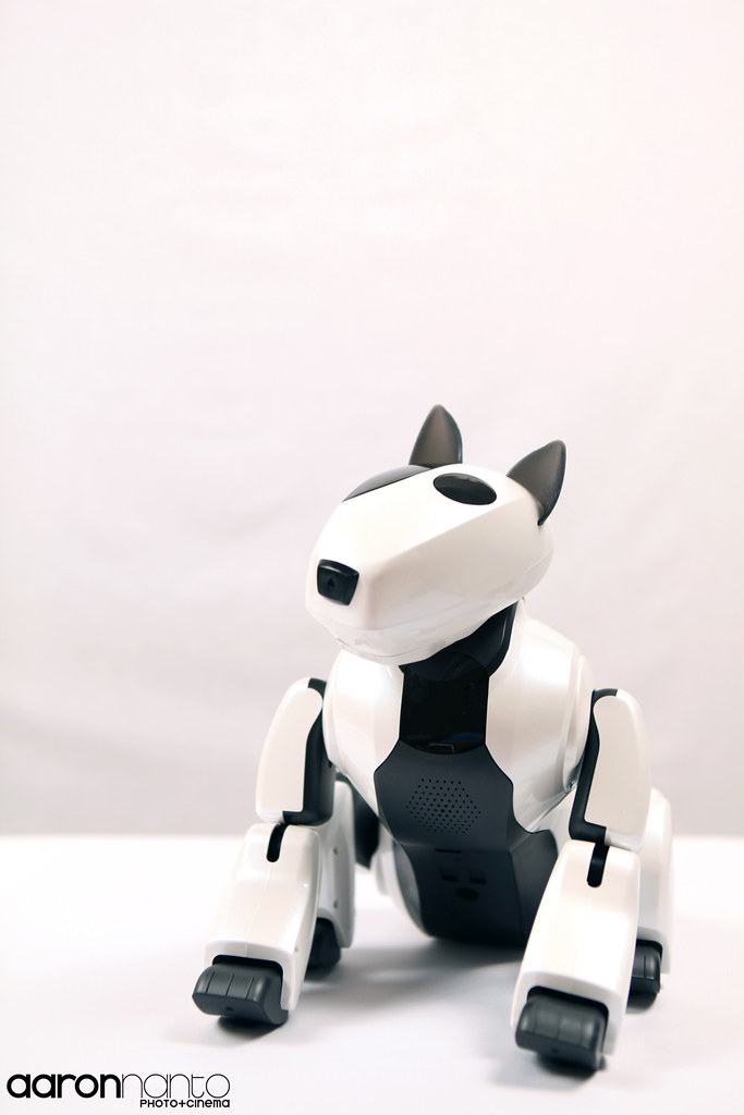 genibo robot dog