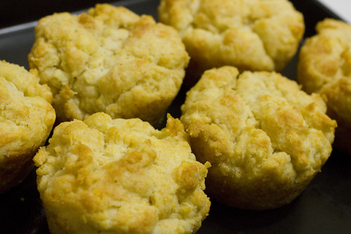 biscuits on black 2