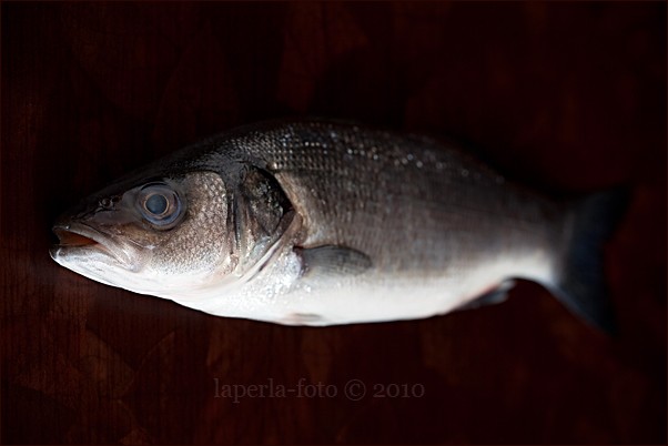 Кое Рыба Фото