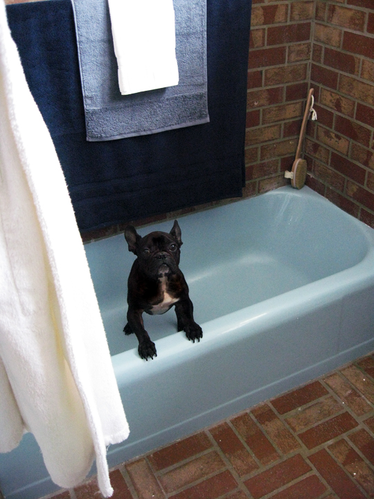 leroy in the tub