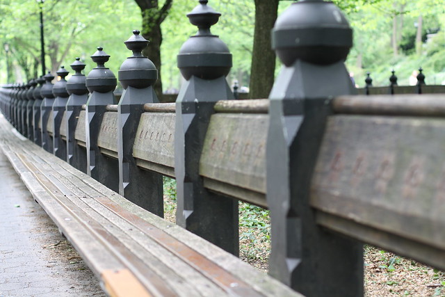 Benk i Central Park