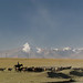 Shepherd on grasslands of Kyrgyzstan