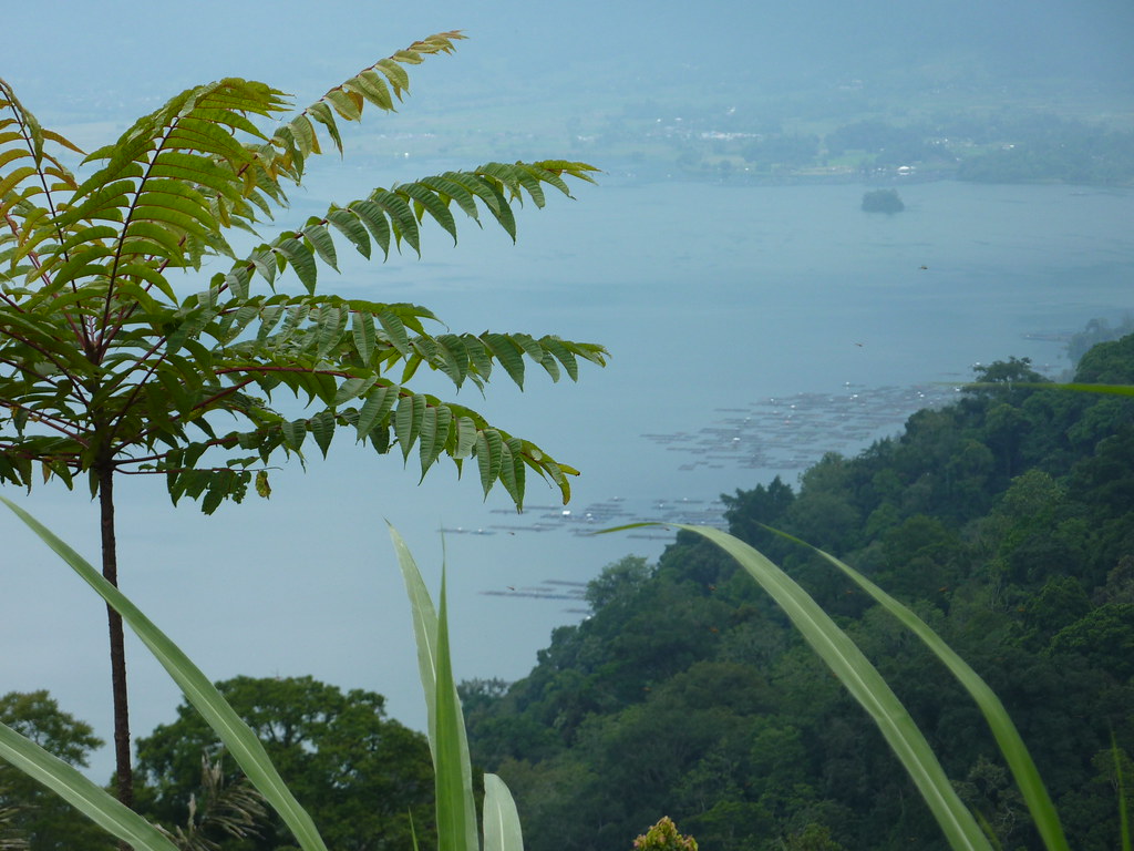 Sumatra-Lac Maninjau (160)