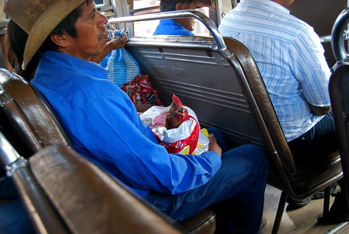 traveling central america by bus is an adventure