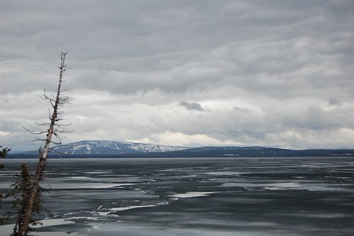 Fwd: Frozen Lake Yellowstone