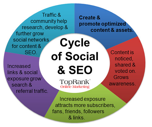 Content / Social Media Cycle