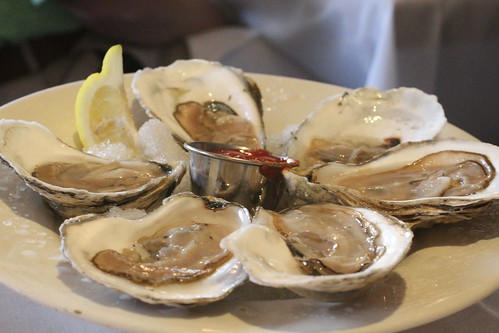 Maine Oysters 2