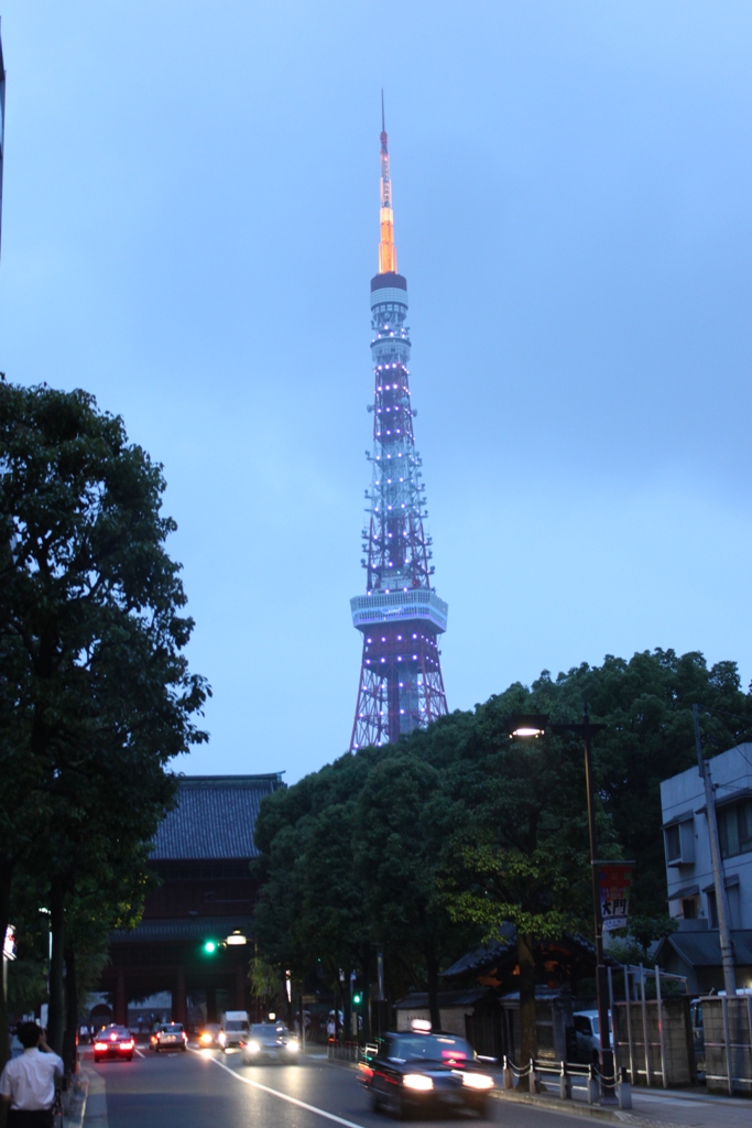 A Japan photo No.140：Tokyo tower blue