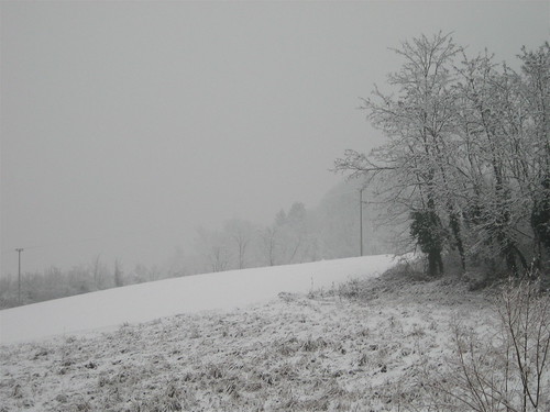 neve, 5,02,010, 4