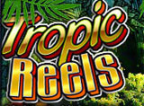 Online Tropic Reels Slots Review
