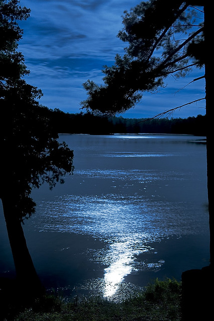Lake view at Night