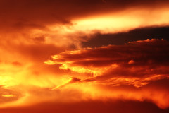 Cloud (214/365)