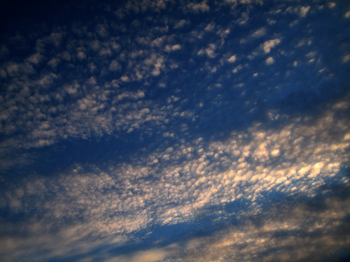 A newborn sky