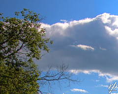 ~ 198/385 Clouds ~