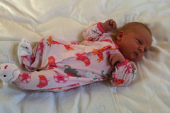 just a week old!