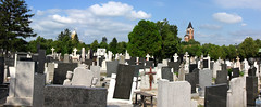 The cemetery at Gardos