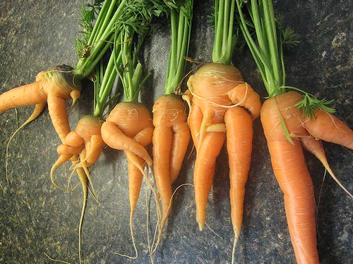 Weird Carrots