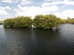 Florida - Everglades • <a style="font-size:0.8em;" href="https://www.flickr.com/photos/21727040@N00/4920730860/" target="_blank">View on Flickr</a>