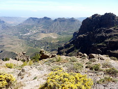 Gran Canaria - Pozo de las Nieves & Surroundings in the Spring