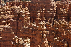 Bryce Canyon - Details