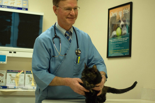 On Veterinary Medicine and Cuyahoga Falls – Cuyahoga Falls Veterinary Clinic