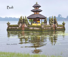 Bali book