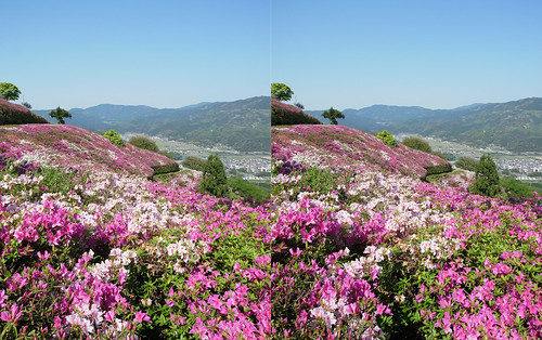 Mt. Tomisu, Ozu, 3D parallel view