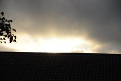 17/365 - the second before sunrise