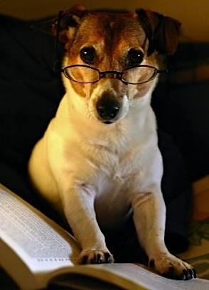 Glasses Make Him Look Smart