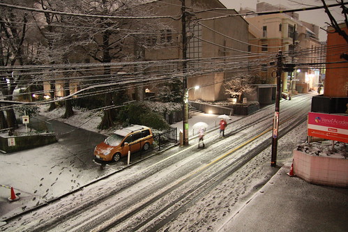 2011年2月14日の深夜から翌朝にかけての雪