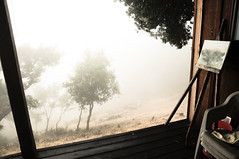 morning fog