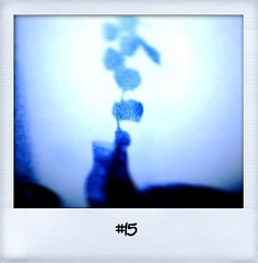 Daily Polaroid #15 • <a style="font-size:0.8em;" href="http://www.flickr.com/photos/47939785@N05/5044598693/" target="_blank">View on Flickr</a>