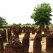 The Stone Circles of The Gambia