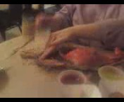 Breaking into a Maryland Blue Crab Claw