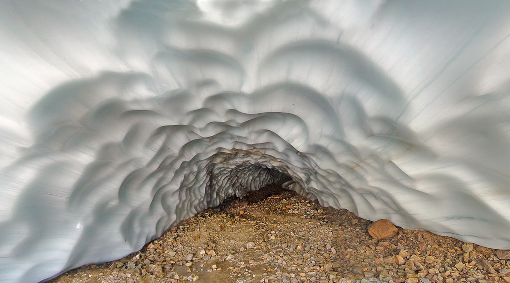 Cavell Glacier
