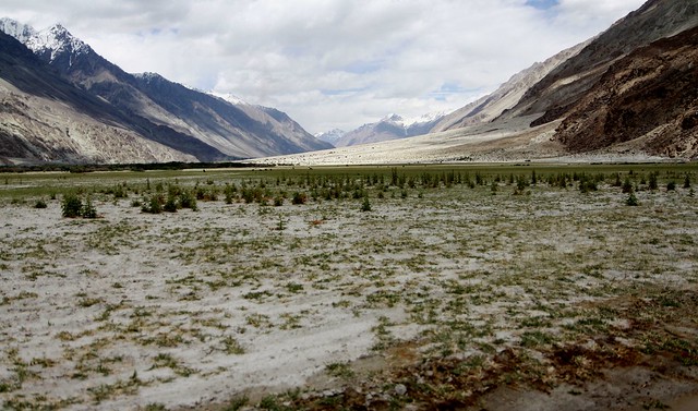 Yarab Tso, a Holy Lake in the Nubra Valley10 Year Itch