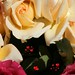 peach-pink-roses-dsc03697-dwp