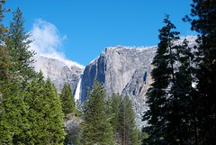 Yosemite Falls in Distance