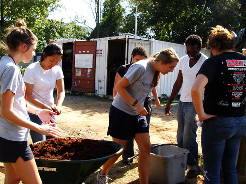 Terps for Change Working with Coir