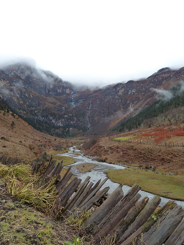 Trekking In Bhutan: Nothing Ever Goes As Planned